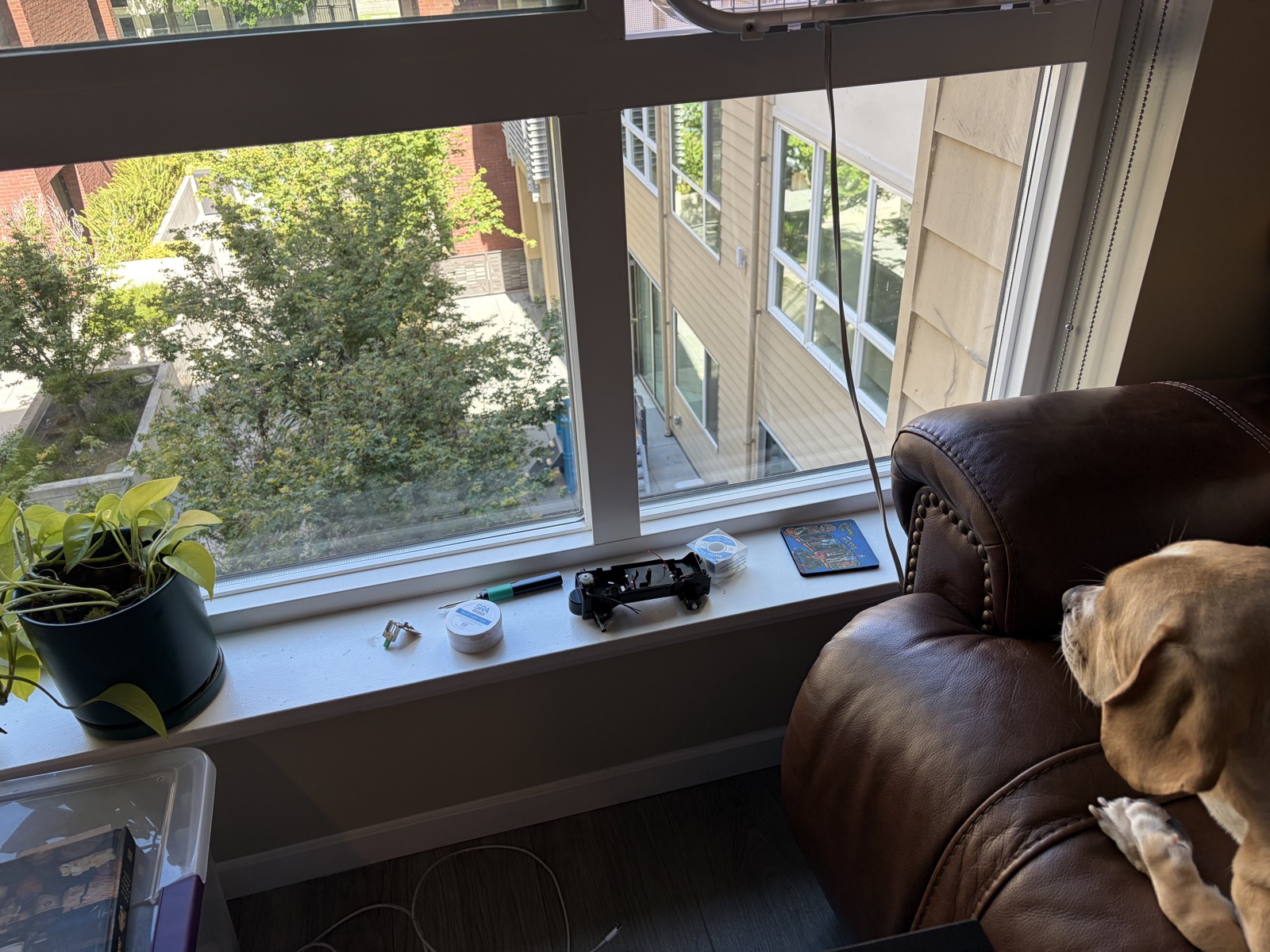 my soldering station, with my dog Peter watching intently